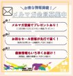 画像2: 【値下品】2Wayクロス　ナイトサファリ (2)